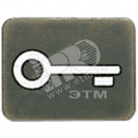 Символ для кнопки ключ антрацит (33ANT)