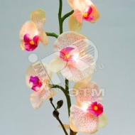 Светильник светодиодный Орхидея в вазе шампань/сиреневый 7 тепло-белых LED (PL307 шамп/сирен.)