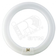 Лампа люминесцентная кольцевая ЛЛ 32Вт TLE 32/33-640 белая (055956215)