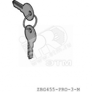 Ключ №455 с защитным колпачком (ZBG455P)